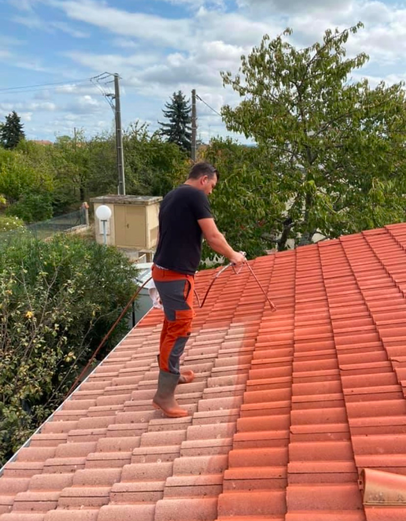 Artisan démoussage haute pression toiture Ariège