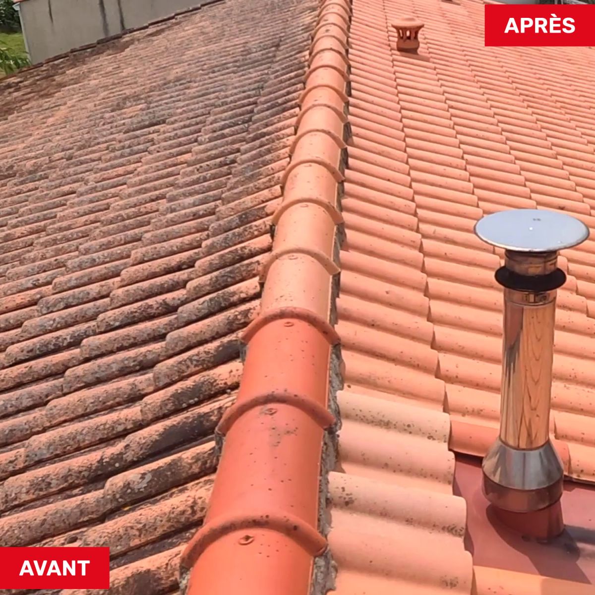 Avant après démoussage Cintegabelle
